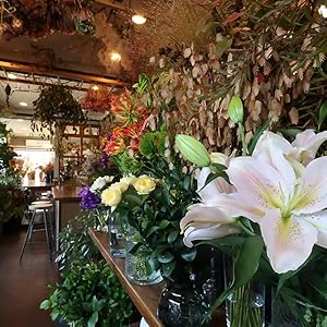 right, Clear Shots Anywhere with PowerShot V1&rsquo;s Fast Aperture and ND Filter