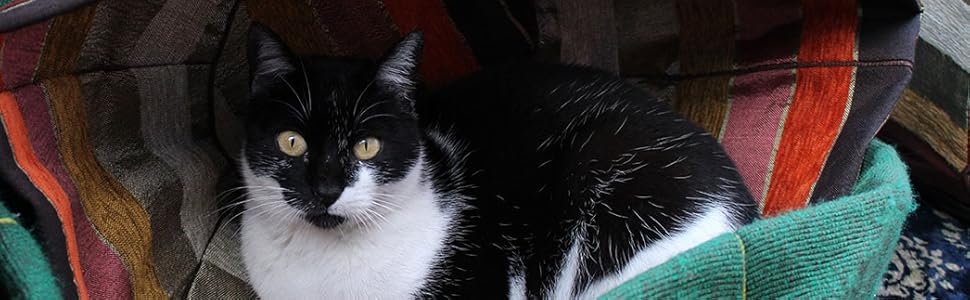 High-pixel, High-quality