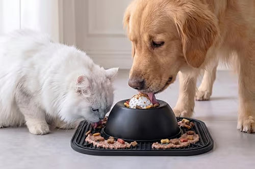 🐶2-in-1 Pet Lick Mat with Rolling Ball🐱