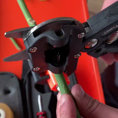 2-in-1 Professional Grafting & Pruning Tool Kit