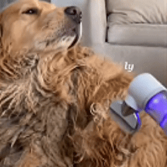 🔥Hot Sale - 49% OFF🐶Electric Pet Flea Remover and Detangling Comb