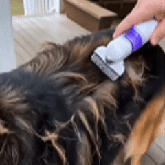 🔥Hot Sale - 49% OFF🐶Electric Pet Flea Remover and Detangling Comb