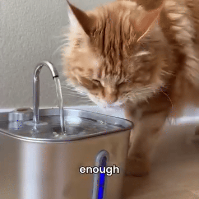 Hydration Banner