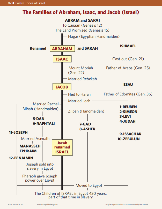 🔥Last Day70% off🔥10th Anniversary Edition Bible Charts, Maps and Time Lines