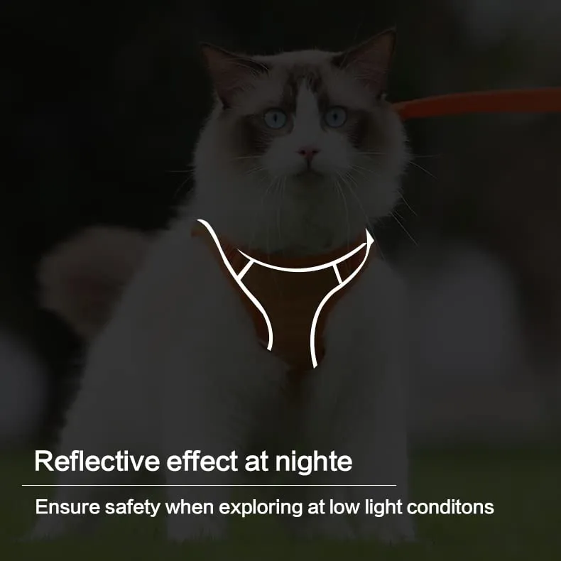 🔥Cat Harness & Leash😺✨