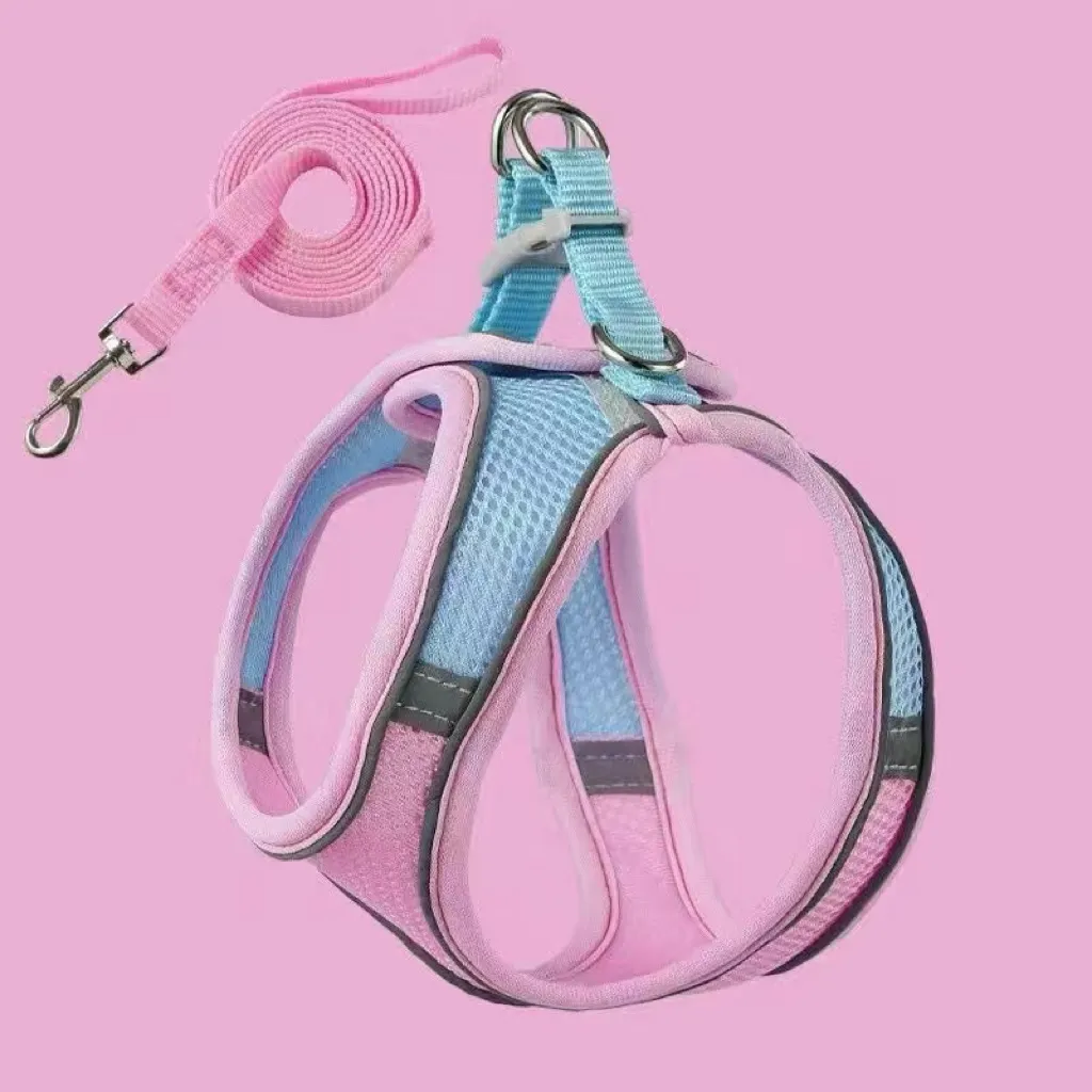 🔥Cat Harness & Leash😺✨