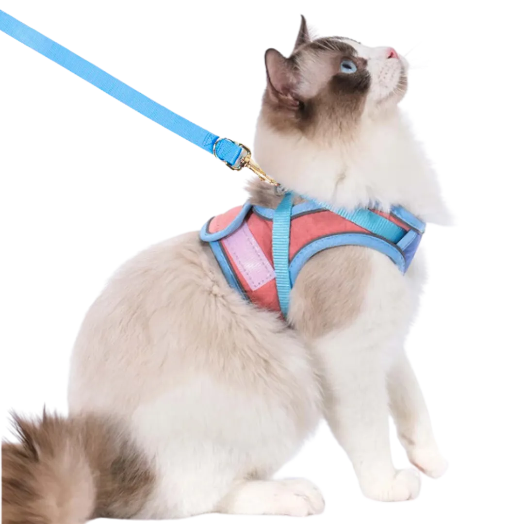 🔥Cat Harness & Leash😺✨