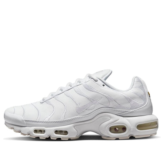 Nitheke Air Max Plus