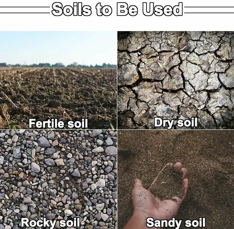 📣Order today,get a FREE guide💞Best🔨Garden Auger Bits for Planting