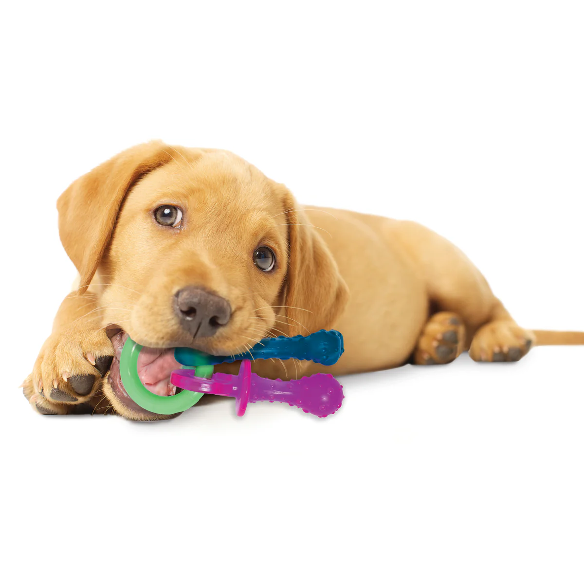 Puppy Chew Teething Pacifier Toy