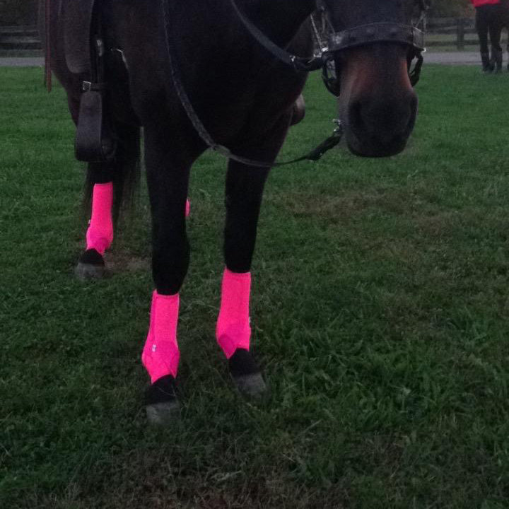 Full Set of 4 Breathable Horse Sports Boots