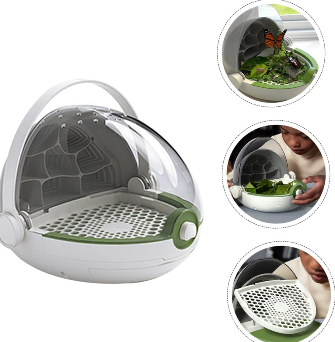Portable Insect Breeding Box for Silkworm Observation