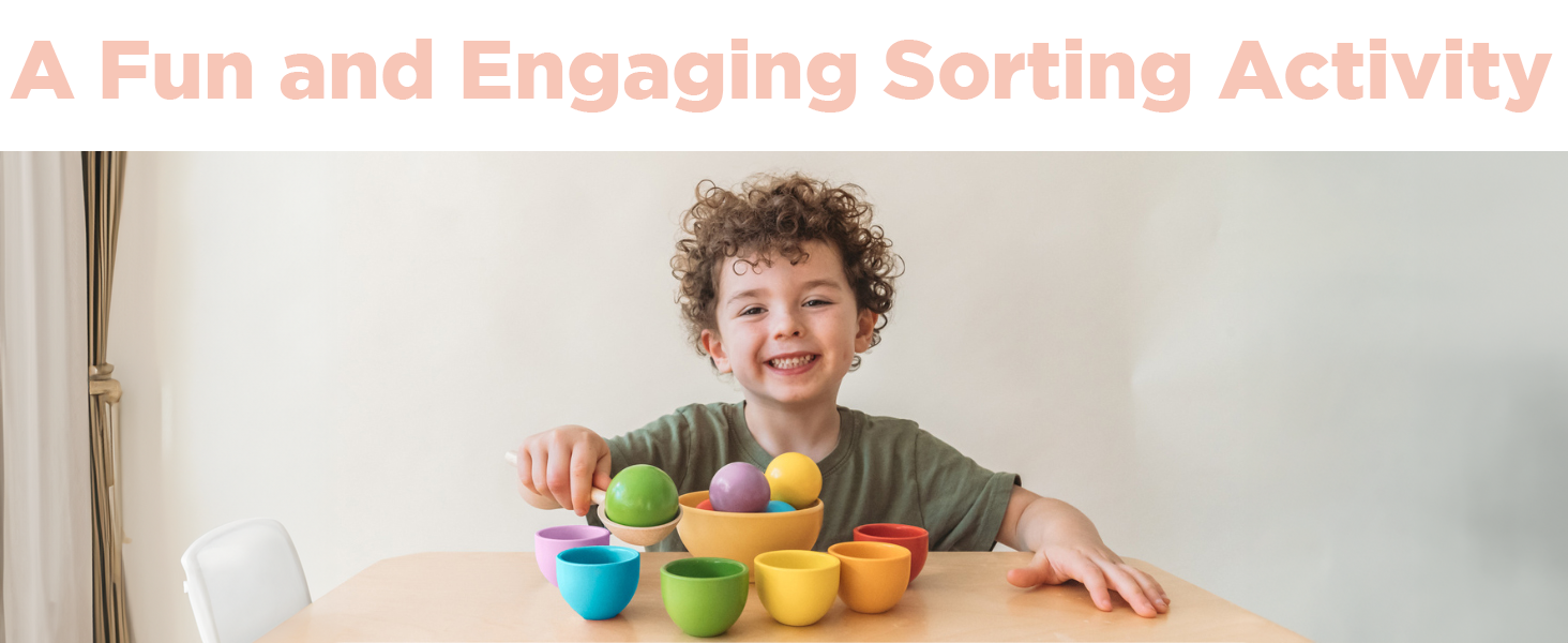 The best color sorting ball set