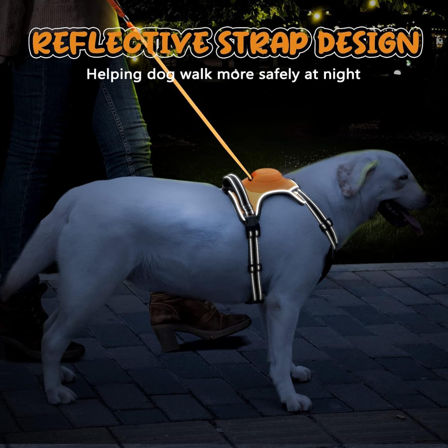 Dog Harness with Retractable Lead – Reflective Anti-Pull Non-Choking Harness with Easy Control Handle, XL