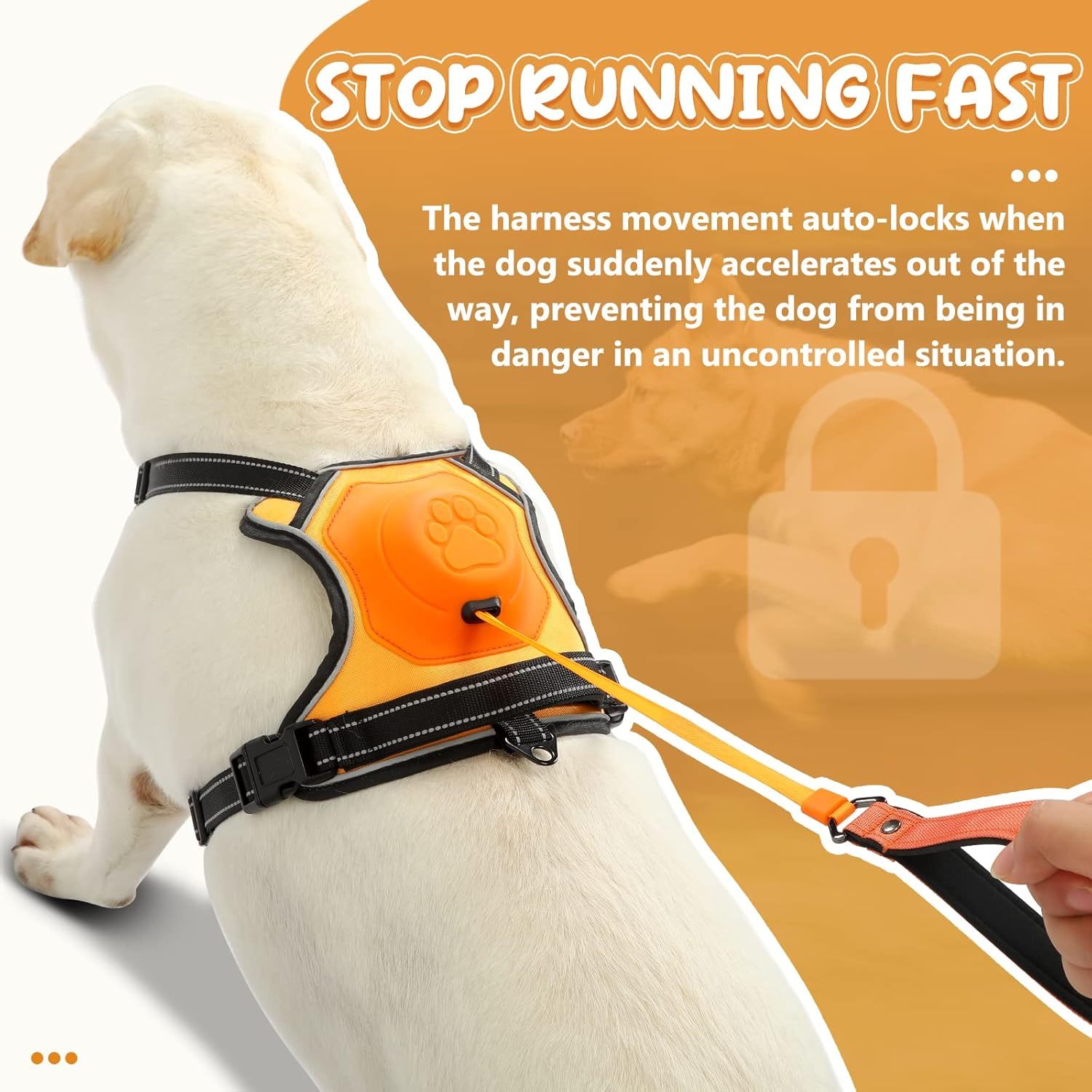 Dog Harness with Retractable Lead – Reflective Anti-Pull Non-Choking Harness with Easy Control Handle, XL