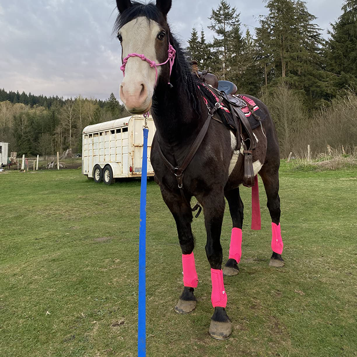 Full Set of 4 Breathable Horse Sports Boots