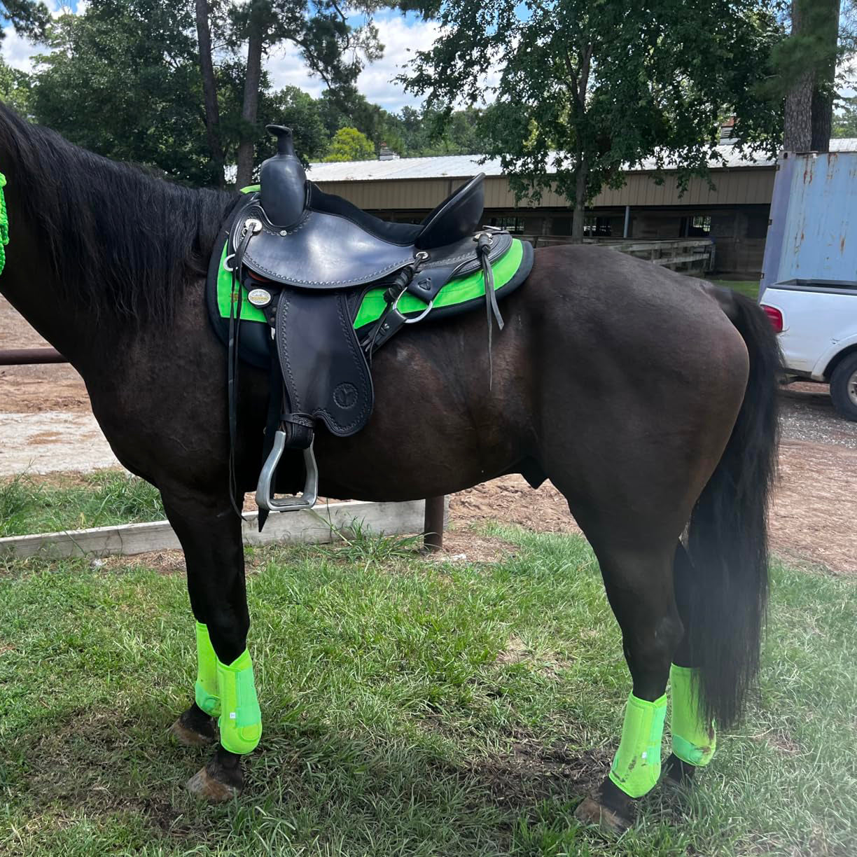 Full Set of 4 Breathable Horse Sports Boots