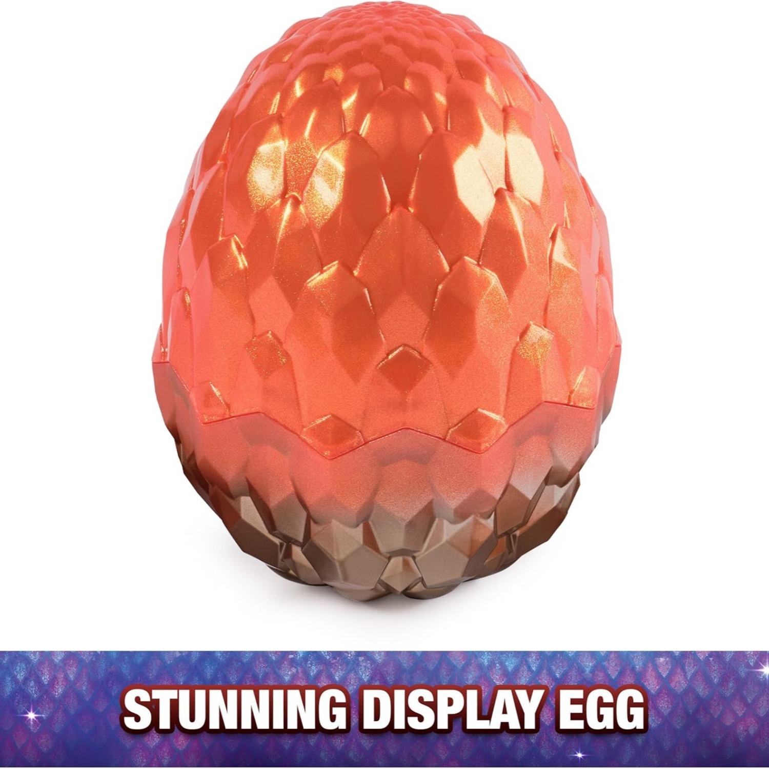 The dragon toy blind box showcases eggs