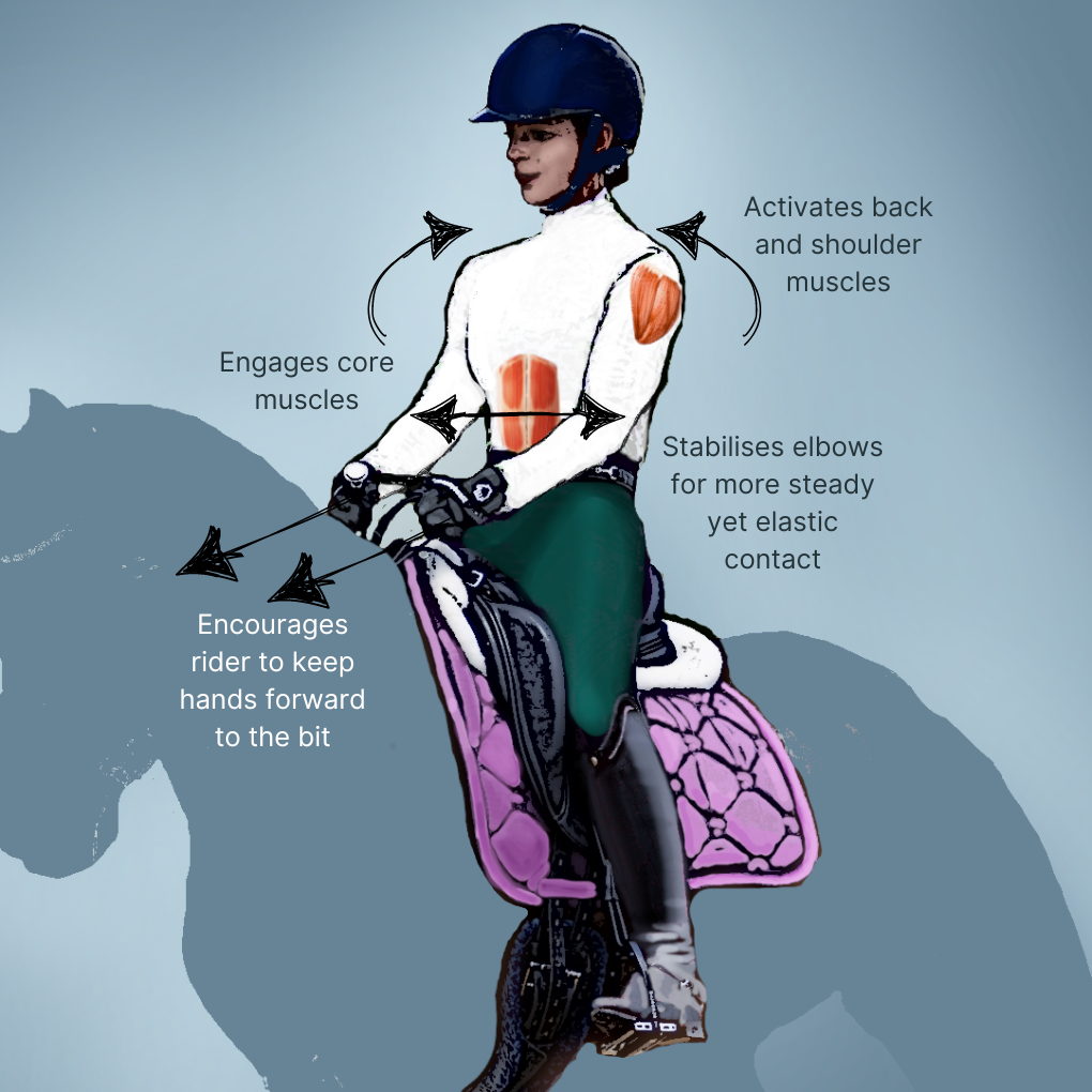 Equestrian Hand Position Training Gloves – Improve Rein Contact