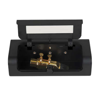 Wind instrument disinfection box