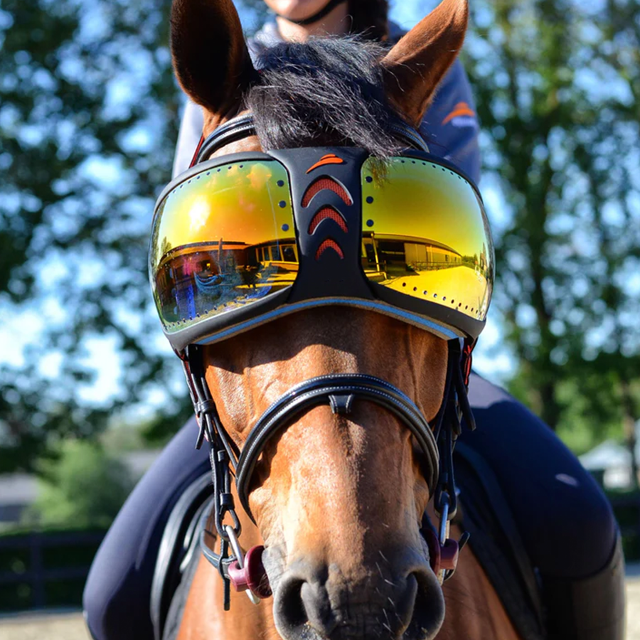 Riding goggles for horses