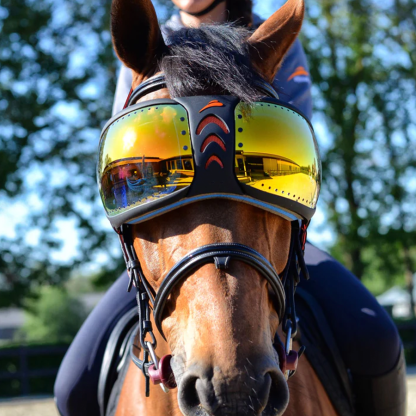 Riding goggles for horses