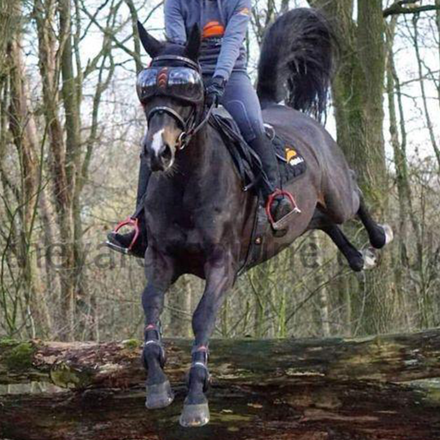Riding goggles for horses