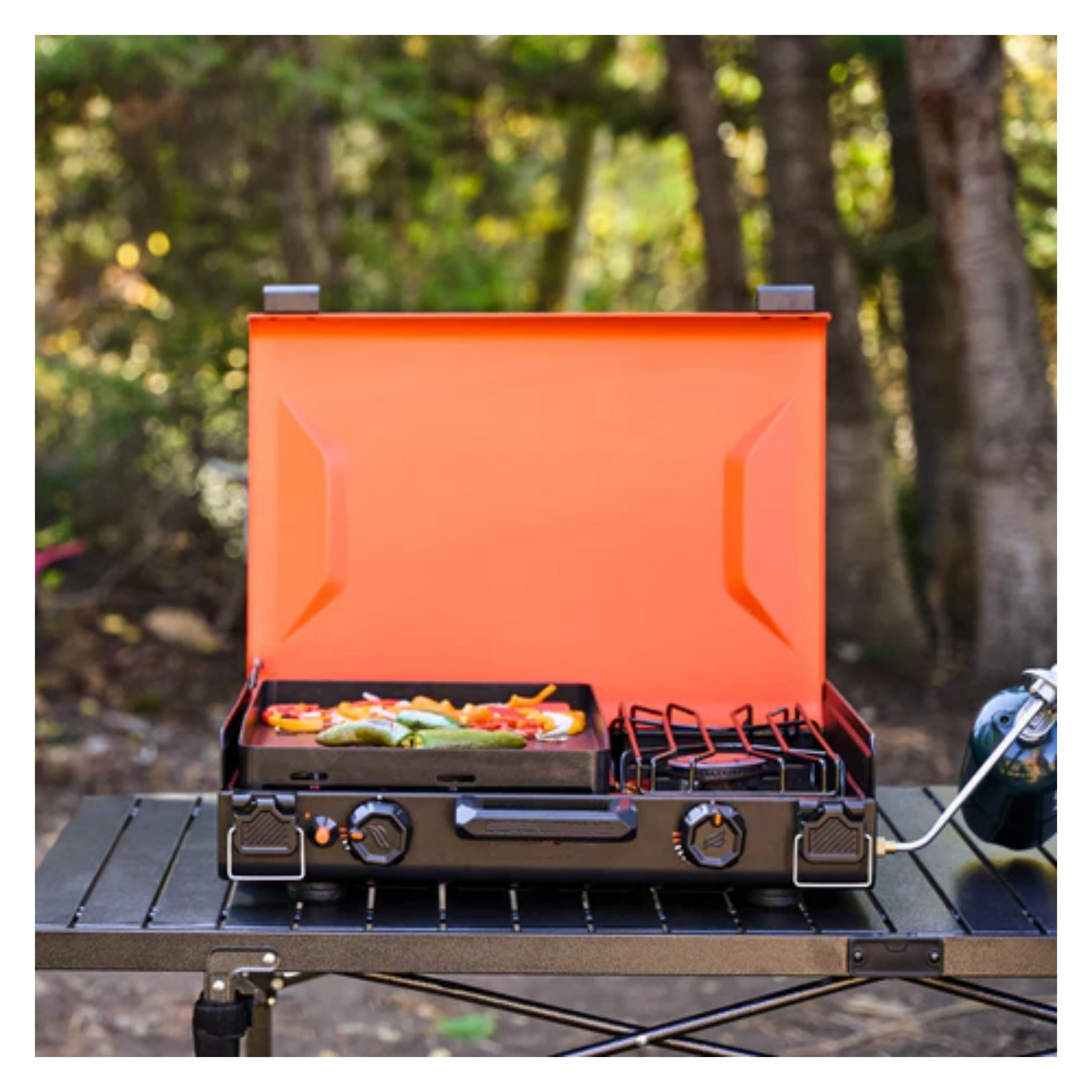 OTG 14″ Portable Griddle with Side Burner