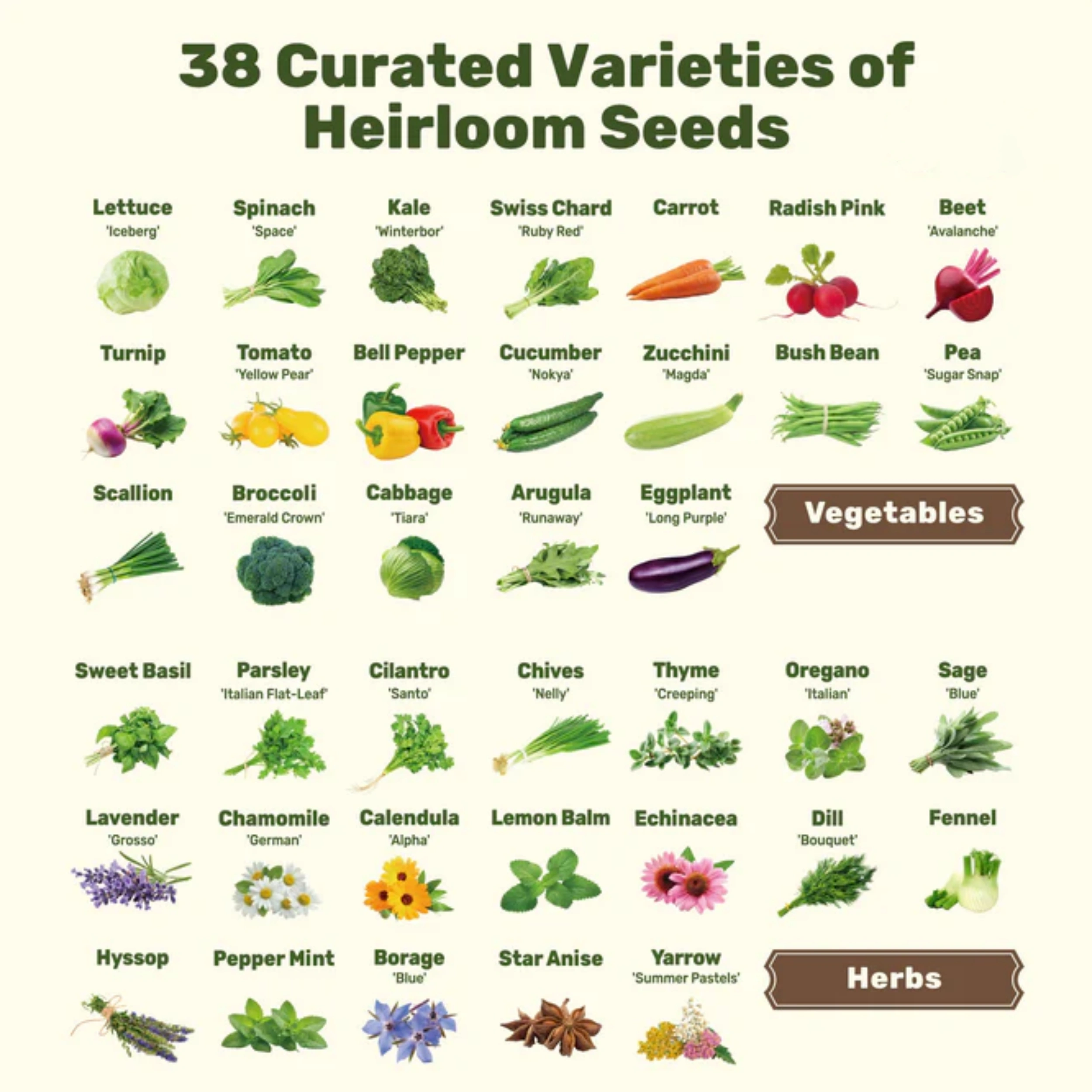 A Storage Box for 38 Varieties of Selected Vegetable and Herb Seeds – Modular Seed Organizer