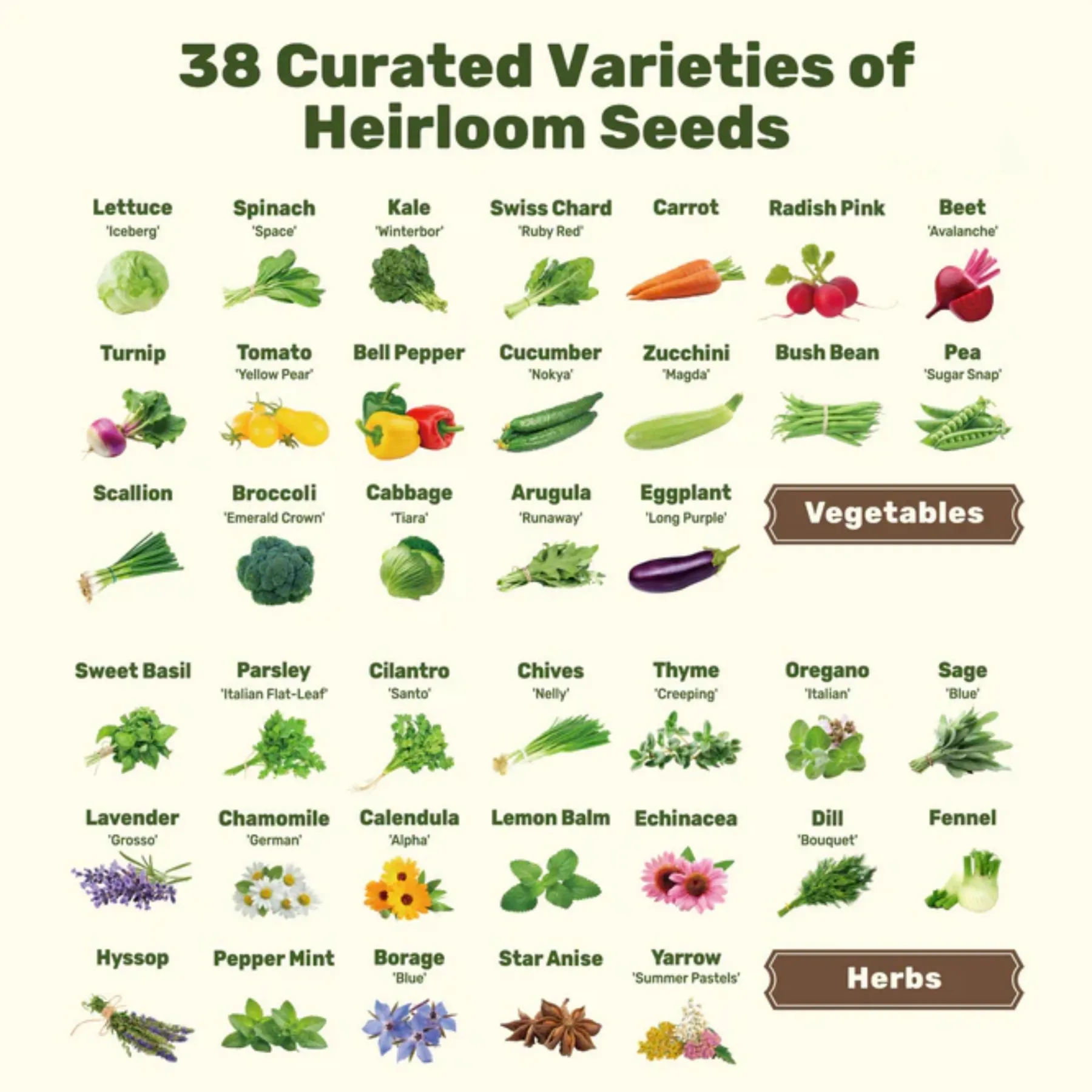 A Storage Box for 38 Varieties of Selected Vegetable and Herb Seeds – Modular Seed Organizer
