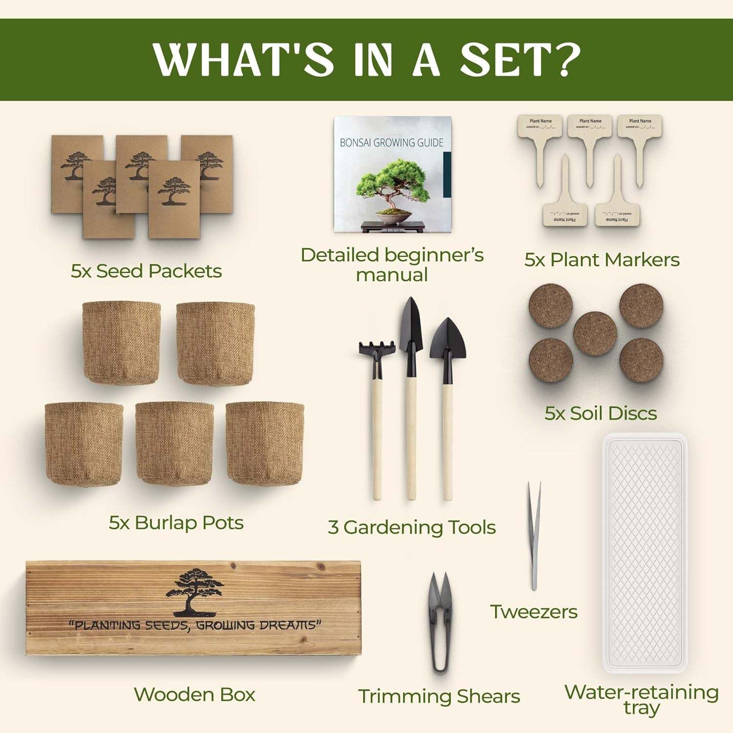 DIY Bonsai Tree Kit for Beginners – Complete Indoor Bonsai Starter Kit