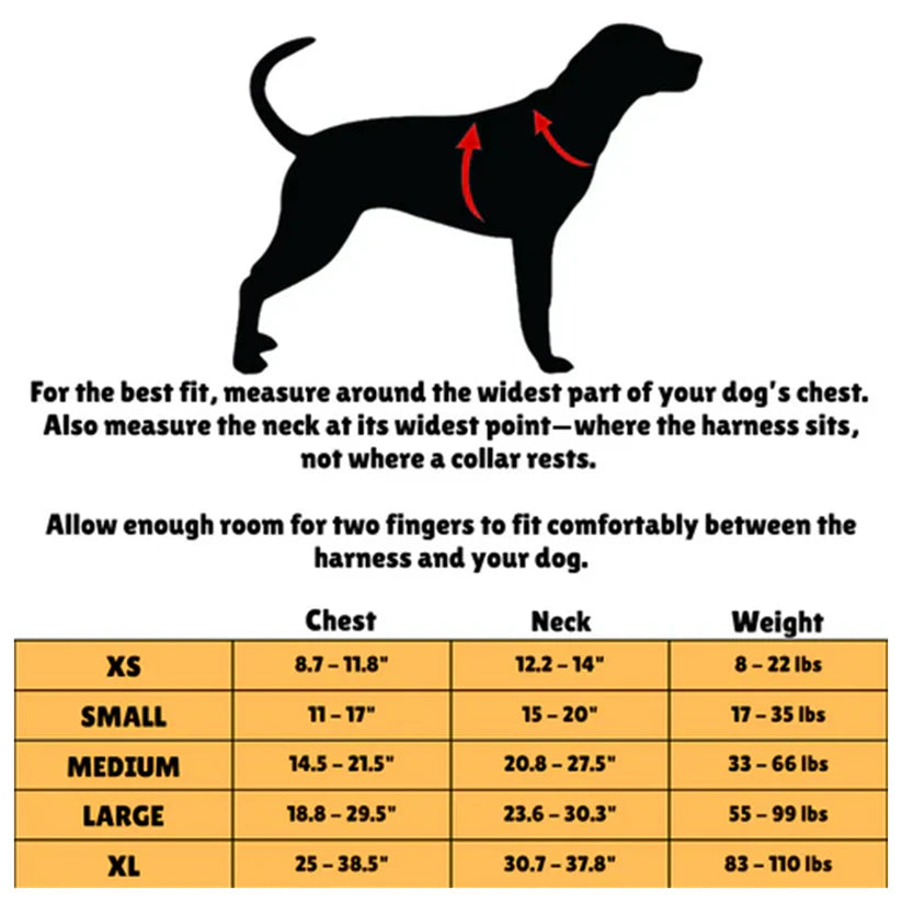 Magnetic chest strap and traction rope