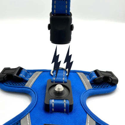 Magnetic chest strap and traction rope