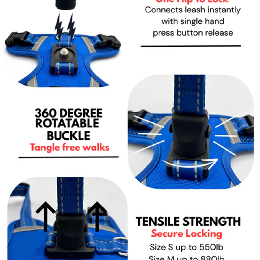 Magnetic chest strap and traction rope