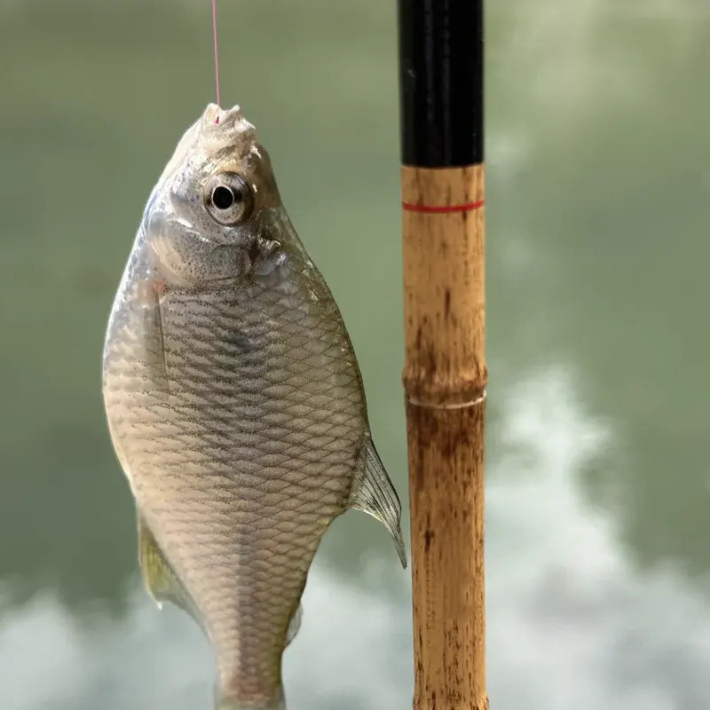 Hand-Hooked Portable Fishing Rod Set