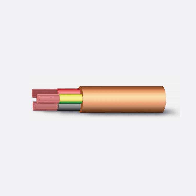 AS/NZS 5000.1 Low Smoke Zero Halogen Flexible X-HF-110 Insulation HFS-110-TP 2C+E Sheath Cable