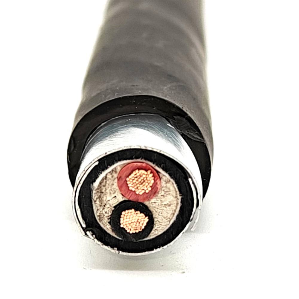 TÜV Certified GF-WDZCEER23-125 Steel Tape Armored 2-Core Rodent-Proof Solar Cable