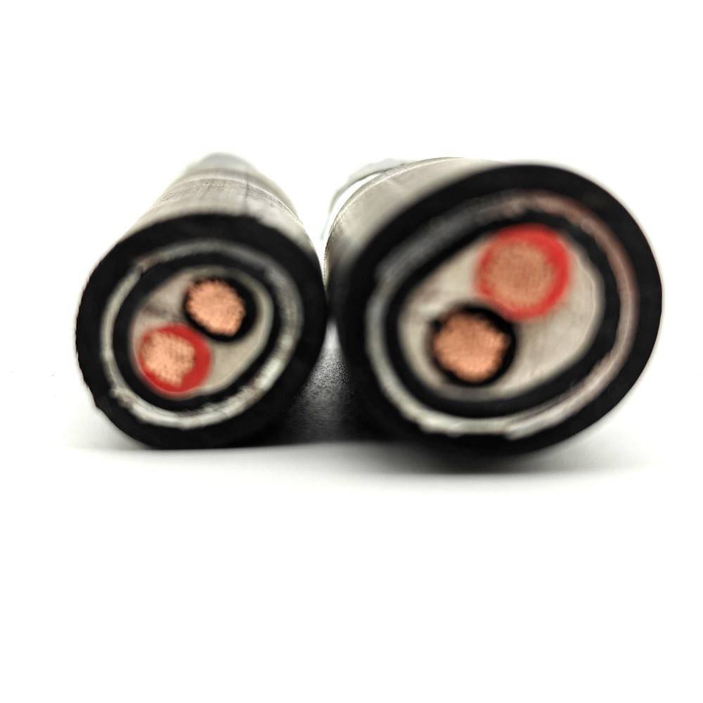 TÜV Certified GF-WDZCEER23-125 Steel Tape Armored 2-Core Rodent-Proof Solar Cable