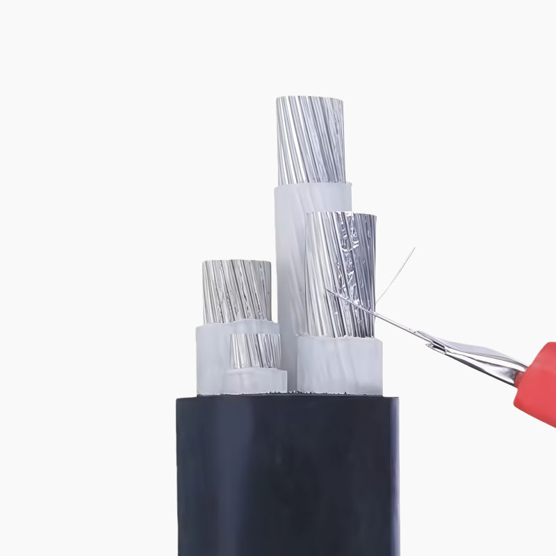600/1000V AL/XLPE/PVC Low Voltage Aluminium Power Cable (IP67 Rated, Underground)