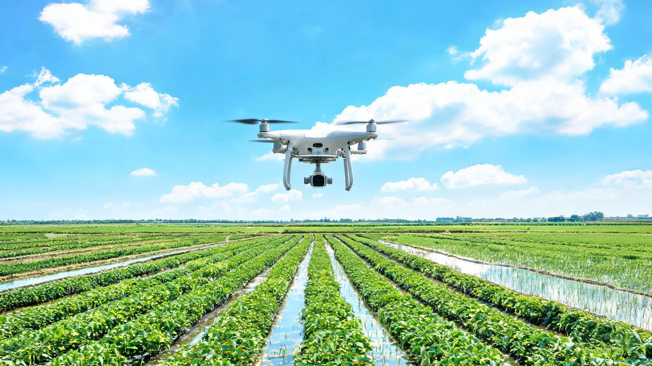 Drone equipped with thermal camera flying over agricultural field for irrigation management and soil moisture mapping