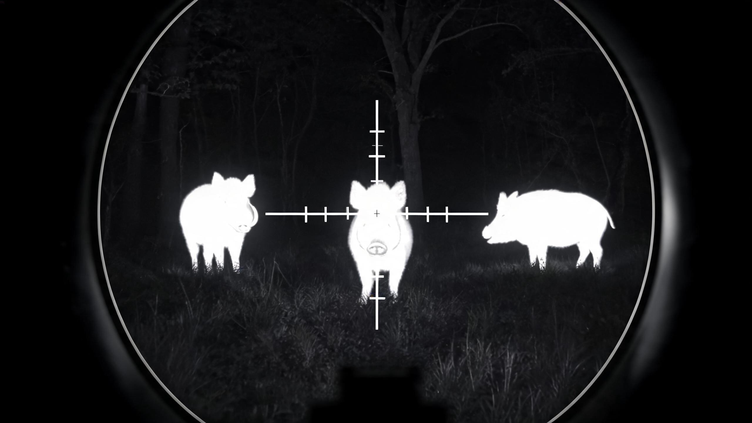 Thermal imaging scope used for night hunting and wildlife observation