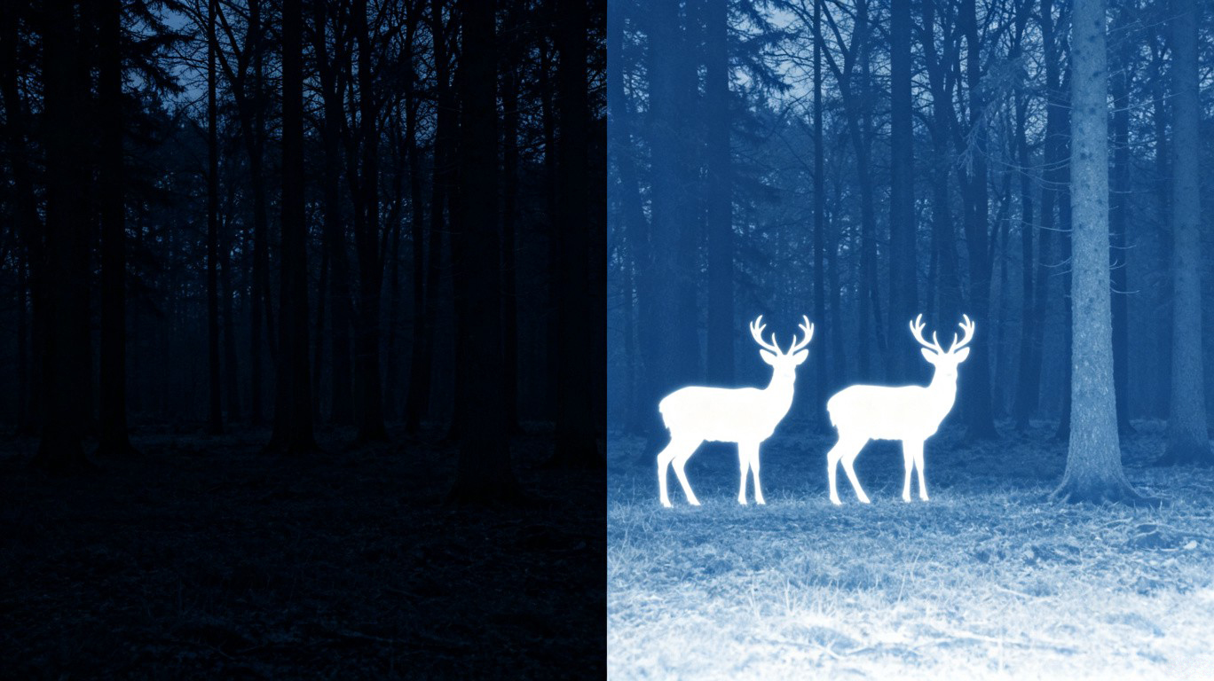 Split comparison: naked eye view of dark forest vs thermal imaging view showing deer heat signatures