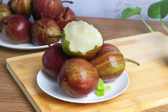 Pyrus pyrifolia 'Nijisseiki'🌈Rainbow Pear Seeds