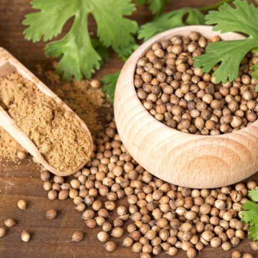Cilantro Seeds