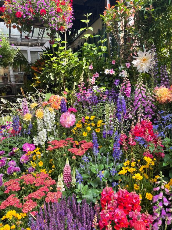Mixed Perennial Flowers Seeds-Over 60 kinds mixed