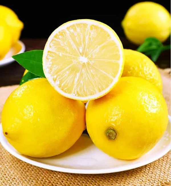 🌿 Bonsai Perfume Lemon 🍋 Grow Your Own Fragrant Mini Citrus Tree! ✨🌱