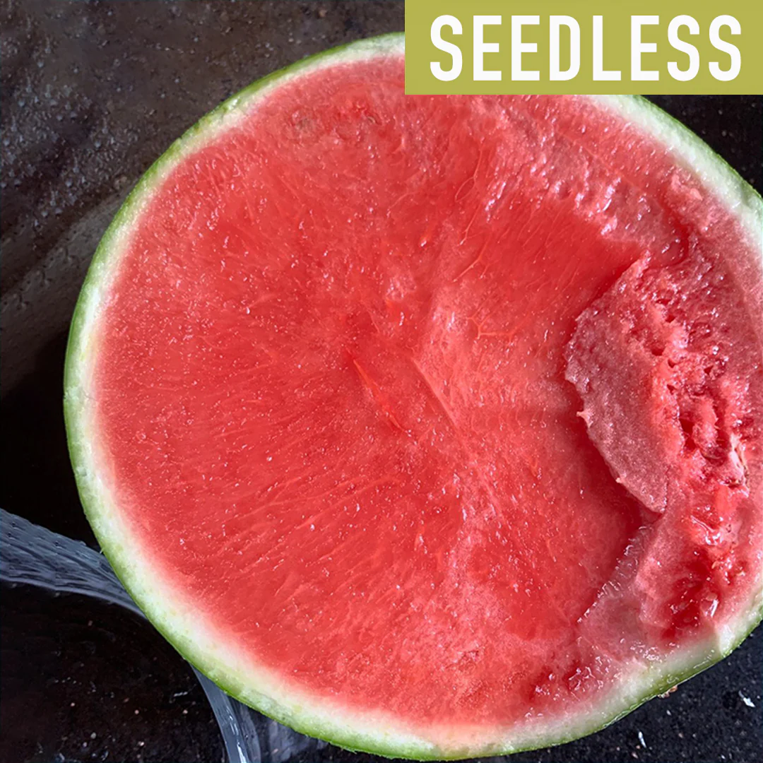 🍉Lazy Man's Watermelon Seeds
