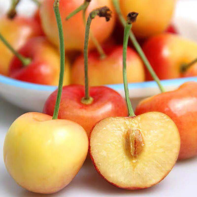 Golden Cherry Seeds