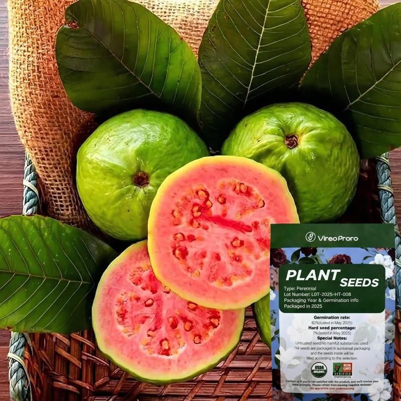 Guava seeds, suitable for potted plants, greenhouses and outdoor gardens, easy-to-cultivate fruit tree seeds.
