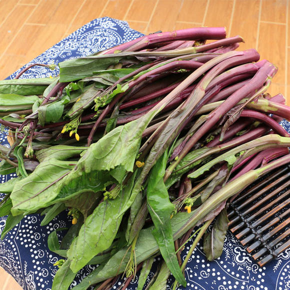 Beetroot Under The Snow Seeds
